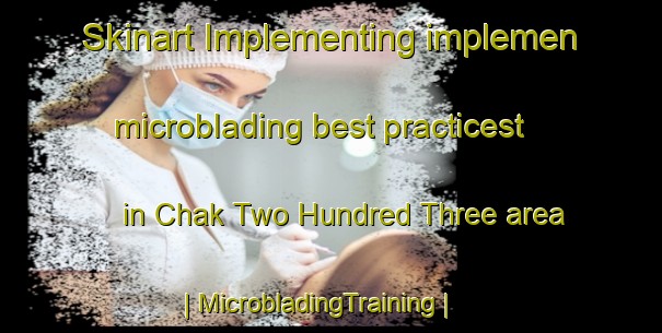 Skinart Implementing implemen microblading best practicest in Chak Two Hundred Three area | MicrobladingTraining | MicrobladingClasses | SkinartTraining-Pakistan